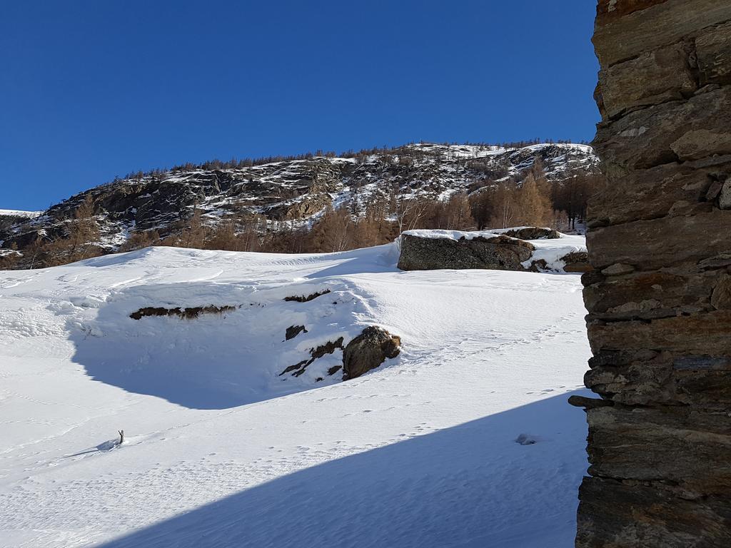 Monte Rosa Διαμέρισμα Saas-Grund Εξωτερικό φωτογραφία